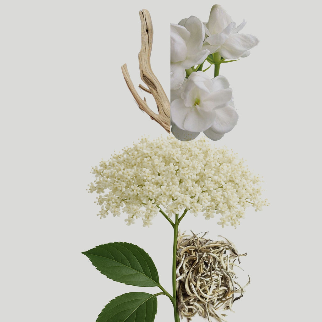 Elderflower